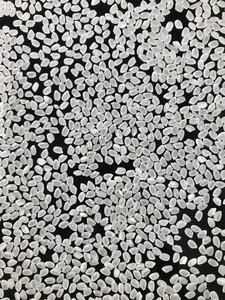 Haute qualité GRAIN MOYEN JAPONICA CALROSE KOSHIHIKARI riz blanc 25KG PP sac en gros sain Riz pour tous les marchés - Product Image 3