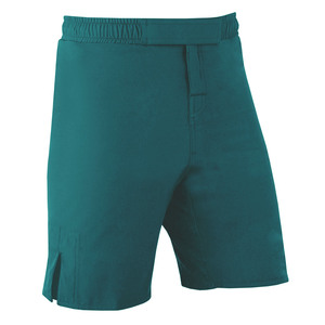 T-shirt de sport à manches courtes pour homme, à séchage rapide, en polyester, couleur turquoise, pour adultes, protection UPF50+, pour homme et femme - Product Image 2