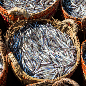 Anchois de qualité supérieure – Aliment pour animaux, poisson entier, ingrédient protéiné naturel pour l'aquaculture et l'élevage, provenant du Vietnam - Product Image 3