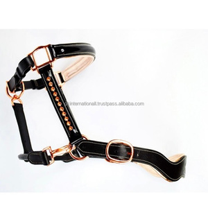 Licou personnalisé fantaisie Bling décoratif rembourré cuir cheval dans toutes les tailles personnalisées en cuir verni premium matériel or rose - Product Image 1