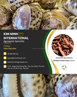 Coquilles de tigre KMI du Vietnam pour la décoration, l'artisanat, l'aménagement d'aquariums, en gros, à prix compétitif