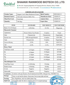 Extrait de champignon Crinière de <span class=keywords><strong>lion</strong></span> biologique RAINWOOD, poudre d'extrait d'Hericium Erinaceus biologique, Beta1,3 /1,6 D Glucane 30% - Product Image 2
