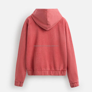 Personnalisez le sweat à capuche brodé brossé haute densité 480gsm pull en polaire lourd sweats à capuche unisexe - Product Image 6