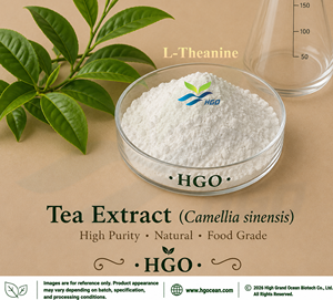 โรงงาน HGO จัดจำหน่ายสารสกัดชาบริสุทธิ์จากธรรมชาติ (Camellia sinensis) เกรดอาหาร สารสกัดชาซาโปนินมาตรฐาน 65% - Product Image 5