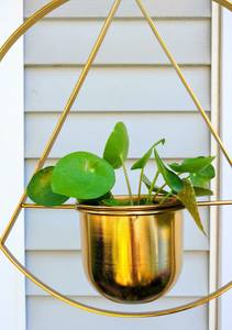 Pot de fleurs mural circulaire en métal doré, support pour plantes suspendues, décoration intérieure et jardin, style moderne, vente en gros OEM, achat en gros - Product Image 6