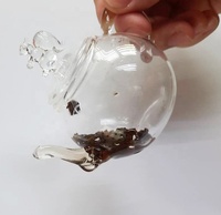 Vente en gros de théières minimalistes écologiques résistantes à la chaleur, théières en verre borosilicate soufflées à la main, mini théières de 90-100 ml pour hôtel