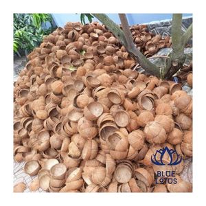 Cáscara de Coco para Procesamiento de Carbón y Producción de Combustible, Alto Rendimiento de Carbono, Suministro Estable, MÁS DESEADO - Product Image 1