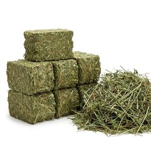Heno de Alfalfa de Alta Calidad, Alimento para Animales Rico en Fibra y Nutrientes para Ganado, Granjas Lecheras y Suministro Comercial de Alimento - Product Image 1