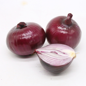 Suministro a granel de cebollas rojas frescas, bulbos cuidadosamente cosechados con forma uniforme y piel lisa, confiados por compradores internacionales - Product Image 1