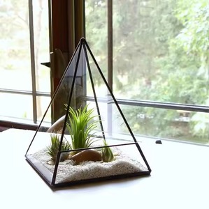 Terrarium en verre avec cadre métallique de qualité supérieure, élégant et géométrique, pour plantes d'intérieur, décoration de la maison - Product Image 2