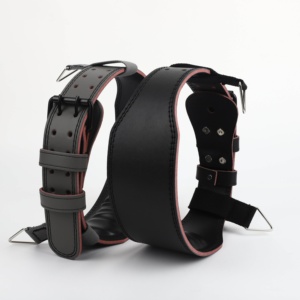 Venta al por mayor, gran oferta: Cinturón de levantamiento de pesas personalizado, nuevo producto, cinturón de levantamiento de pesas de cuero con hebilla de palanca para gimnasio. - Product Image 1