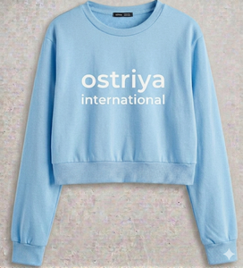 2026 Women Streetwear Turtleneck Lightweight 100% Cotton Solid Embroidered Sweatshirt Oversized Winter All Seasons - Product Image 2