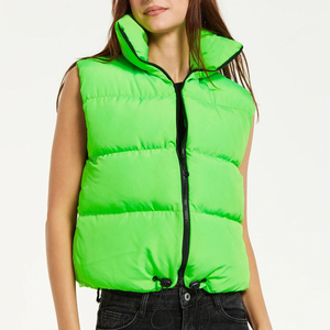 Chaleco Acolchado de Cuello Alto Color Verde Neón para Mujer, Cierre de Cremallera, Color Sólido, Ropa Exterior Informal, Largo Regular, Relleno de Poliéster - Product Image 1