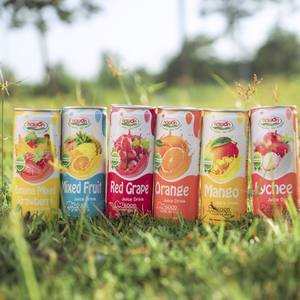 Jus de fruits naturel boisson 250ml jus en conserve fabrication sous contrat et services de marque privée Vietnam fournisseur de boissons HALAL - Product Image 3
