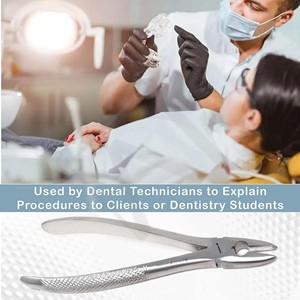 เครื่องมือถอนรากฟันสแตนเลสแบบแมนนวล Accuram Dental สำหรับฟันบนและฟันล่าง ใช้ได้กับทุกชนิด - Product Image 3
