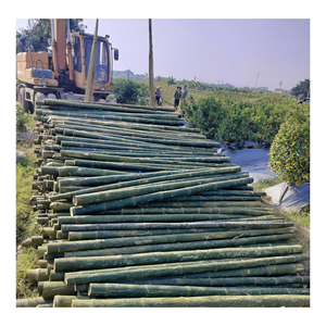 Poteau en bambou naturel fabriqué à partir de bambou durable pour la construction et la fabrication de meubles, origine Vietnam. - Product Image 1