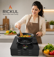 Table de cuisson électrique portable à plasma, brûleur unique 3.0KW, surface en verre, classe d'efficacité énergétique, pour usage domestique et extérieur
