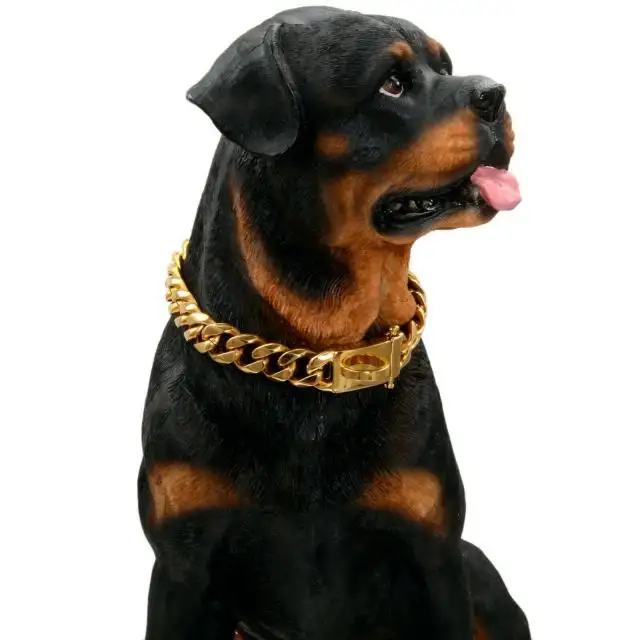 Luxo 15mm Gold Chain Dog Collar Eleve a declaração de moda do seu animal de estimação
