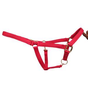 Cabestro Acolchado Premium para Caballo con Herrajes de Latón y Collarín Ajustable de Nylon/PP, Personalizable para Entrenamiento en Establos y Uso en Viajes - Product Image 2