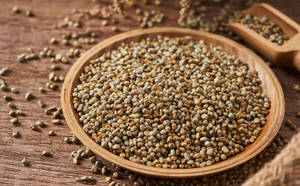 Bajra indien d'origine naturelle - Product Image 3