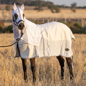 ผ้าห่มม้าผ้าฝ้ายสำหรับทุกฤดู ผ้าห่มม้าสำหรับฤดูหนาวที่ให้ความอบอุ่น ผลิตในอินเดีย ผ้าห่มม้าแบบกำหนดเองได้ ผ้าห่มม้ามาตรฐาน - Product Image 6