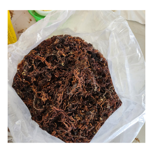 Rumput Laut Cottonii Kering Kelas Makanan Dari Vietnam, Pemasok Grosir Rumput Laut Eucheuma Premium, Ekspor Global
