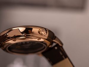 อเล็กซานเดอร์ เฟอร์รอส 9302RD-26 38.5 มม. มิโยตะ 9015 กลไกอัตโนมัติ ตัวเรือนสแตนเลส สายหนัง อนาล็อก สำหรับผู้ชาย กันน้ำ 5BAR - Product Image 5