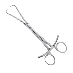 Pinces à fragments en acier inoxydable, disponibles dans toutes les qualités et tailles, instruments chirurgicaux orthopédiques vétérinaires pour animaux - Product Image 1