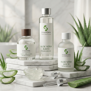 Suministro a Granel de Jugo Puro de Hoja de Aloe Vera para Compradores Internacionales, Marcas de Bebidas, Fabricantes de Cuidado Personal y Formulaciones de Productos - Product Image 4