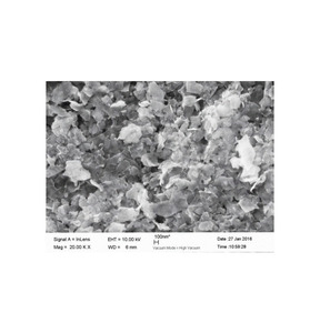 Polvo de Molibdeno Premium para Aplicaciones de Alta Temperatura y Producción de Aleaciones, 99.99% de Pureza, Blanco, Marca NMF (PVT) LTD - Product Image 2