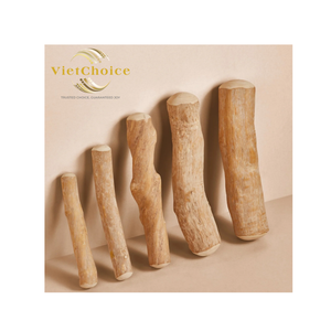 ของเล่นเคี้ยวสำหรับสุนัข VIETCHOICE Phoebe รุ่นโมเดิร์น ทำจากไม้กาแฟธรรมชาติ ทนทาน ย่อยสลายได้ รูปทรงกระดูกน่ารัก หลายแบบ - Product Image 1