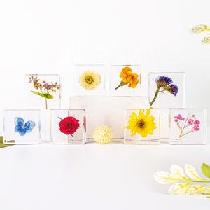 La pianta reale ha conservato i tipi di infiorescenza di modalità di aiuti didattici medici incastonati campione di resina per l'insegnamento della scuola materna - Product Image 3