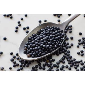 Lentilles noires en gros de qualité supérieure pour restaurants, détaillants et acheteurs internationaux – MOQ flexible - Product Image 6