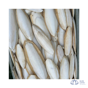 [VENTE CHAUDE] |   Os de seiche séchés, différentes tailles, riches en calcium, nourriture pour oiseaux, friandise à mâcher, provenance du Vietnam - Product Image 1