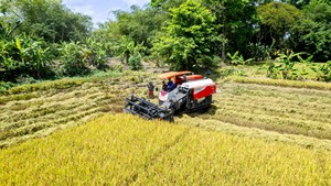Moissonneuse-batteuse à riz sur chenilles Kubota DC-120X Diesel 120 CV, machine de récolte des céréales, équipement agricole - Product Image 1