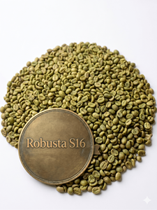 [Hot Item] <b>Robusta</b> Green <b>Coffee</b> <b>Beans</b> S16 100% Natural Color Neutral Taste Allergen-Free 60kg PP Jute Bag Packaging Wholesales - Product Image 4