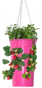 Pot de fleurs suspendu en métal bleu avec plantes de fraises pour jardinières - Product Image 2