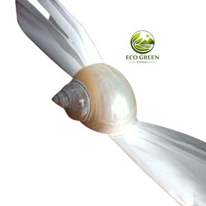 ชุดแหวนรองผ้าเช็ดปากสไตล์วินเทจ Hans Turnwald รูปทรงเปลือกหอย พร้อมที่ใส่เปลือกหอยเงินขัดเงาคุณภาพพรีเมียม สำหรับตกแต่งโต๊ะงานแต่งงาน - Product Image 4