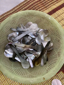 Eco Friendly Handmade Mother of Pearl Spoon with Various Designs and Sizes - Product Image 5