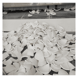 Coco congelado IQF hecho con trozos de pulpa de coco fresca para bebidas, postres y recetas culinarias, envasado en Vietnam. - Product Image 2