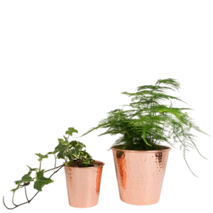 Ensemble de pots à fleurs modernes en cuivre avec bord évasé irrégulier pour la décoration de plantes vertes d'intérieur, style minimaliste - Product Image 1