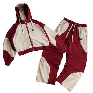 Wholesale Men's Streetwear Style Sweat Suits Custom Panel <b>Embroidery</b> <b>Set</b> Polar-fleece Zip Up Hoodie Sweatpants Tracksuits OEM - Product Image 2