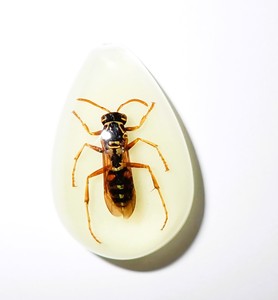 Red Wasp Real Specimen Plastic Cabochon Pear Shape Cut <b>Top</b> 33x22 mm Glow Flat Bottom for Crafts and Jewelry Making - Product Image 3