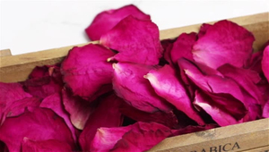 Pétales de rose biologiques séchés comestibles en vrac de qualité supérieure – Fleurs séchées naturelles respirantes en gros pour cadeaux et exportation - Product Image 2