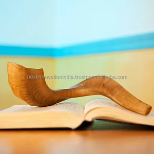 Kosher Kudu Shofar Corne Sculpté Traditionnel Israélien Religieux Art Remarquable Style Ange - Product Image 1