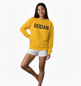 Sweat-shirt oversize pour femme en molleton 100% coton de haute qualité, col montant, automne/hiver, avec option d'impression ou de broderie sur le devant - Product Image 4