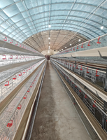 Poulailler en structure acier préfabriquée, moderne et commercial, pour l'élevage de poulets de chair, avec une bonne ventilation et une isolation thermique