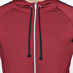 Conjunto Deportivo Azul Marino para Hombre con Capucha, Cierre de Cremallera, Sudadera y Pantalones de Poliéster de Color Sólido, Corte Regular, Otoño - Product Image 4