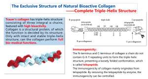 Стерильный лиофилизированный порошок ателлоколлагена типа I с тройной спиралью, полученный из сухожилий крупного рогатого скота, с содержанием эндотоксина <0,02 ЕД/мг - Product Image 5