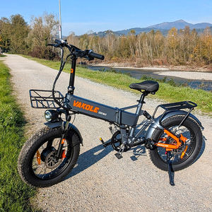 Bicicleta Eléctrica Plegable CO20 MAX en Stock en la UE, Motor de 250W, Batería de Litio de 48V 20Ah, Mini Bicicletas Eléctricas de Aleación de Aluminio - Product Image 1